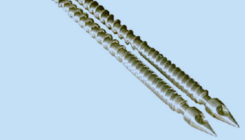 機筒螺桿塑化時需注意哪幾點？